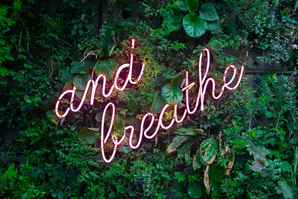 The Ways to Stay Smoke-Free After You Have Quit Smoking