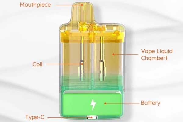 Top Disposable Vape Device of 2024 - MEMERS Switcher S22000