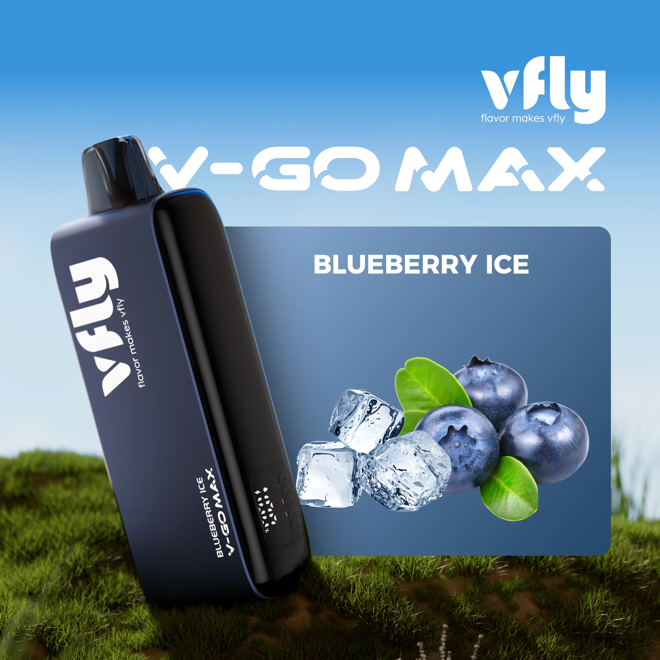 BLUEBERRY-ICE