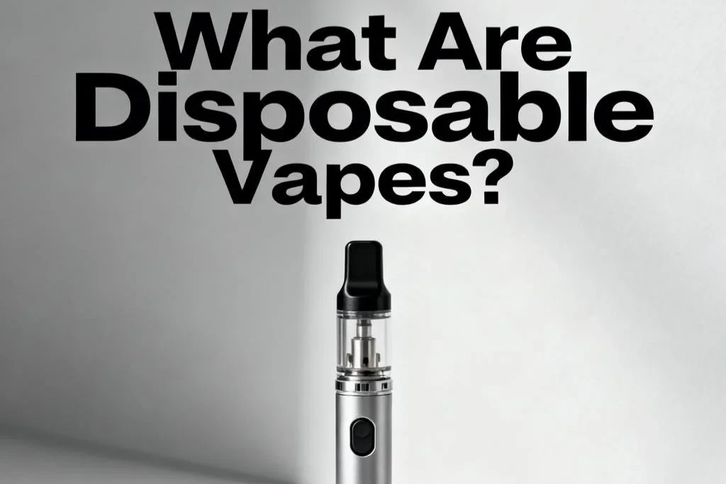 What Are Disposable Vapes?-2