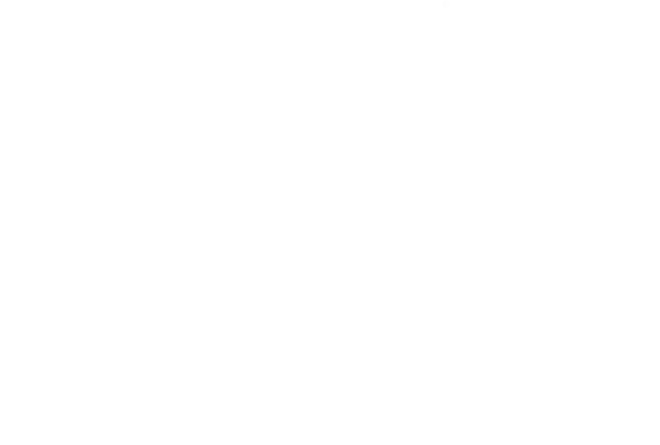 ske icon bar
